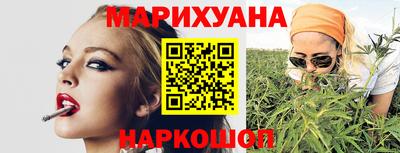 крисы Славянск-на-Кубани
