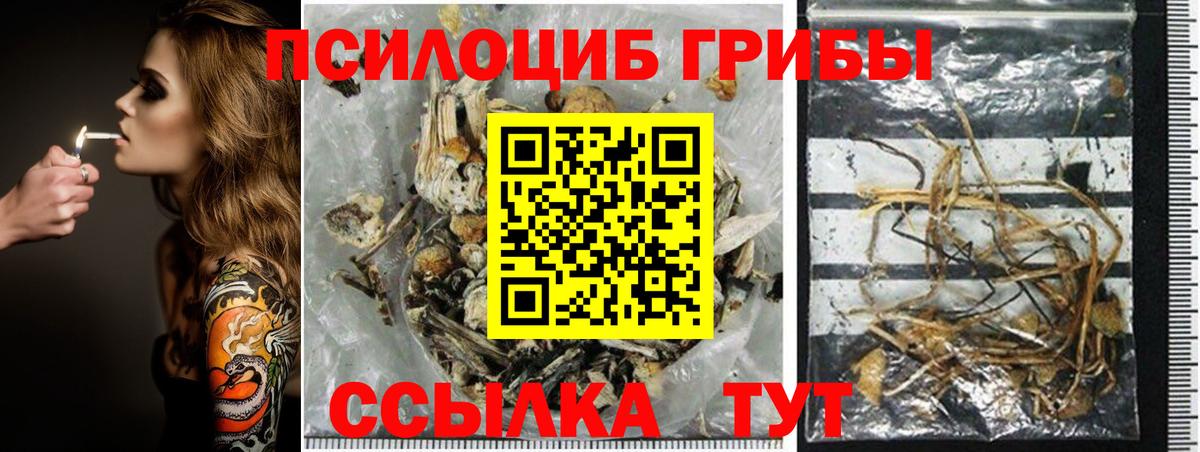 Псилоцибиновые грибы мухоморы  Вход с VPN  Россошь 